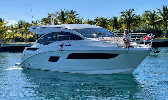 🛥️🌊View the Cherry Blossoms 🌸 in luxury ‼️45’ Sea Ray Luxury Yacht ⭐️⭐️⭐️⭐️⭐️