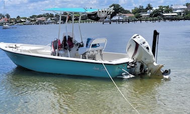 Des îles, des dauphins, des bancs de sable et bien plus encore ! 6 passagers plus le capitaine ! (Carburant inclus)