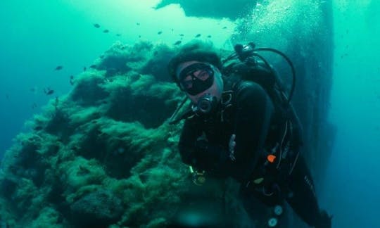 2020 Brychwood for Zebobia Wreck Diving Trip