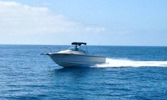 Trophy Sportfishing Boat for Fishing or Cruising in Marina del Rey