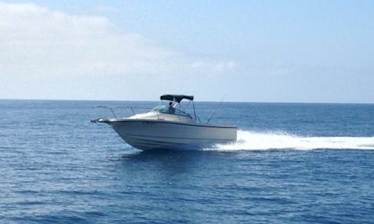 Sportfishing Boat - Great fishing