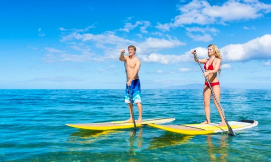 Paddleboard with paddle for Rent in Fort Lauderdale, Florida