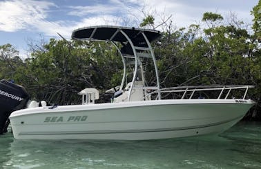 2007 Sea Pro 196cc for Island Hopping and More!