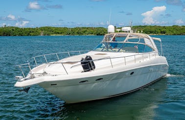 Miami's #1 Charter Yacht! Beautiful 50' Searay with Jetski Rental!
