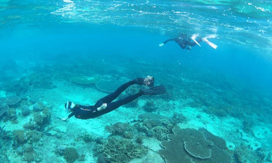 サヌールエリアでのシュノーケリング旅行 (BALI)