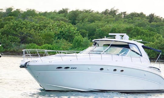 Sea Ray Sundancer 55' em Tulum. Tudo incluído