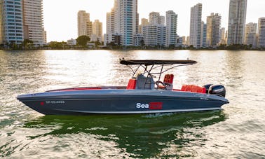 Singlar 29ft Special Edition Center Console with bathroom for 8 people