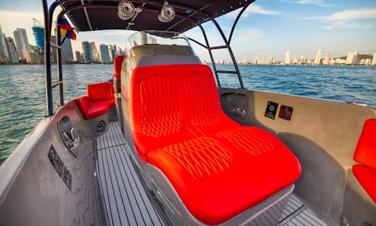 Singlar 29ft Special Edition Center Console with bathroom for 8 people