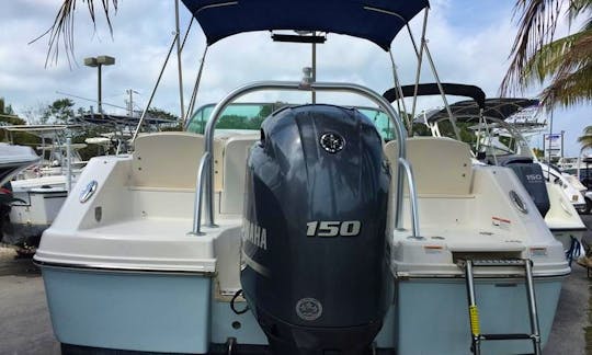 Robalo 207 Center Console for Rent in Norwalk