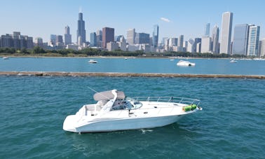 Captained charter on 40' Sea Ray Sundancer with all amenities in Chicago!