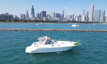 Carta capitaneada no Sea Ray Sundancer de 40 pés com todas as comodidades em Chicago