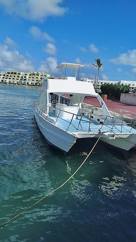 Location de catamaran Private Charter Adventure 53