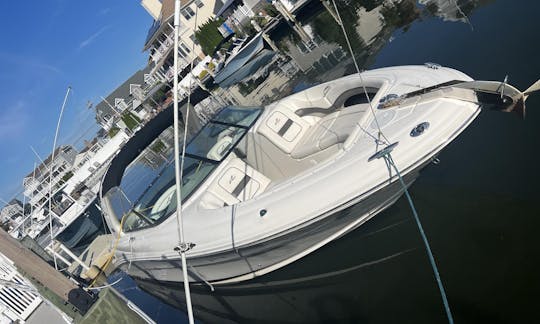 Location de Bowrider Sea Ray 290 SLX à Brick Township, New Jersey