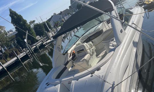 Location de Bowrider Sea Ray 290 SLX à Brick Township, New Jersey
