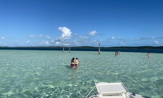 Excursion des 3 îles de Spanish Wells avec visite de cochons nageurs et d'un banc de sable