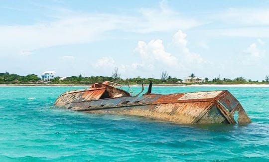 Excursion des 3 îles de Spanish Wells avec visite de cochons nageurs et d'un banc de sable