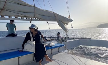 Catamaran d'observation des baleines et des dauphins 100 % électrique (expérience de groupe partagée)