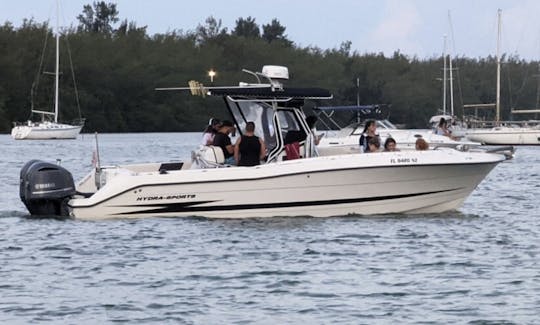 Experiência de passeio em barracas de areia/ilha com o console central Hydrasports 28