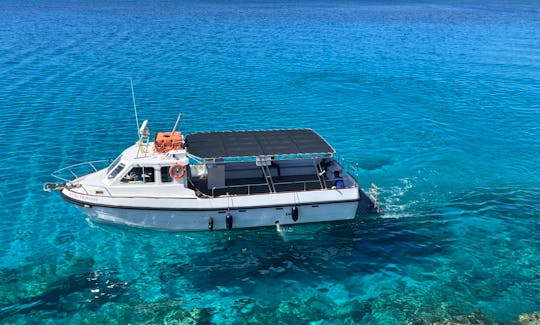 Hire a boat from our fleet for Snorkeling, Fishing and More!