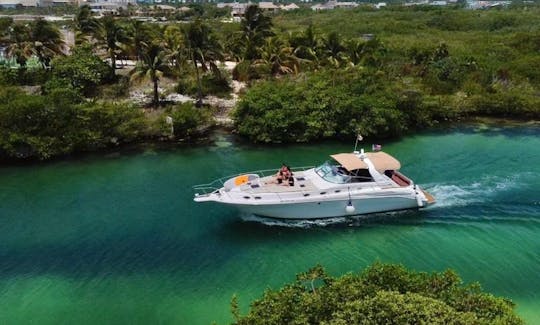 45’’ Sea Ray Express in Tulum and Playa del Carmen, Mexico