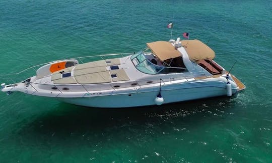 45’’ Sea Ray Express in Tulum and Playa del Carmen, Mexico