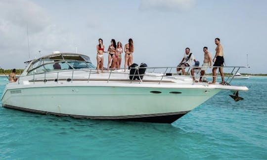 Sea Ray Express 55' em Tulum. Tudo incluído