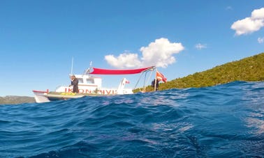 3hrs Snorkeling Cruise in Alonissos island and Marine Park