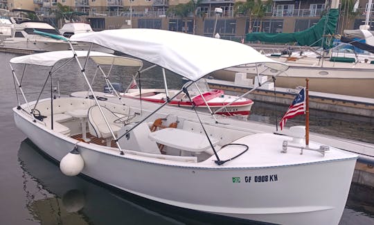12 Person Electric Duffy Boat Rental in Marina del Rey, California