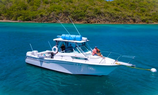 Rent a GRADY WHITE BOAT in amazing crystal water! Visit the best beaches!