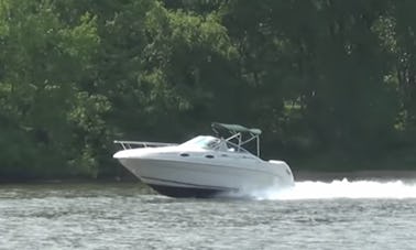 Captain Memo's 28 ft. Sea Ray in Chicago