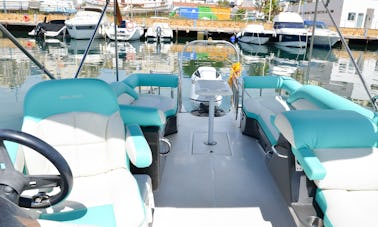 Alquiler de barco abierto Bayliner Element XR7 en Marbella, Andalucía