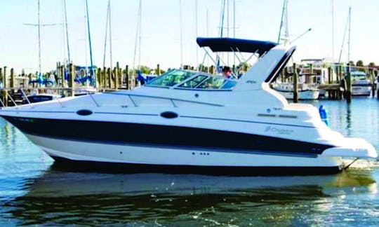 31ft Cabin Cruiser Rental on Lake Lewisville