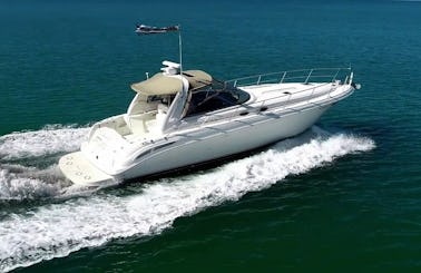 Enjoy Chicago in this 46' Sea Ray - Great for Birthdays - Bachelorette Parties