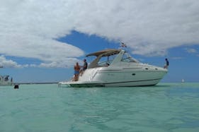 39ft Sea Ray Motor Yacht in Punta Cana, La Altagracia