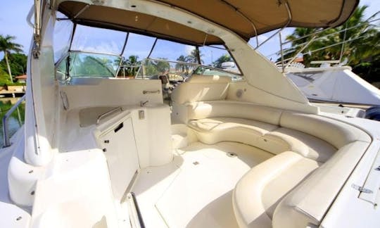 Yacht à moteur Sea Ray de 39 pieds à Punta Cana, La Altagracia