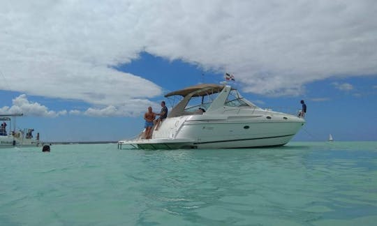 Yacht à moteur Sea Ray à Punta Cana. Visitez l'île de Saona et sa piscine naturelle