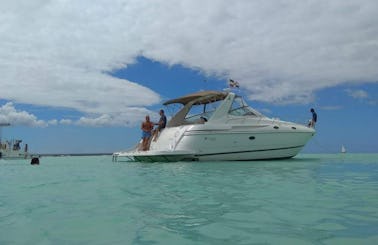 Sea Ray Motor Yacht in Punta Cana. Visit Saona Island and Natural Pool