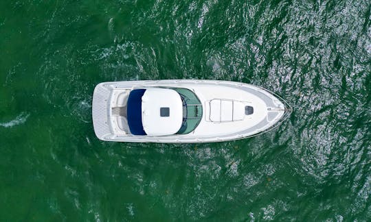 40ft Sundancer Motor Yacht Rental in Miami, Florida