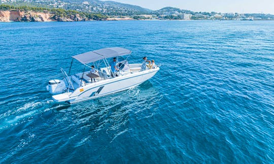 Private Boat Tour around Palma Bay 