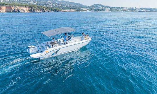 Private Boat Tour around Palma Bay 