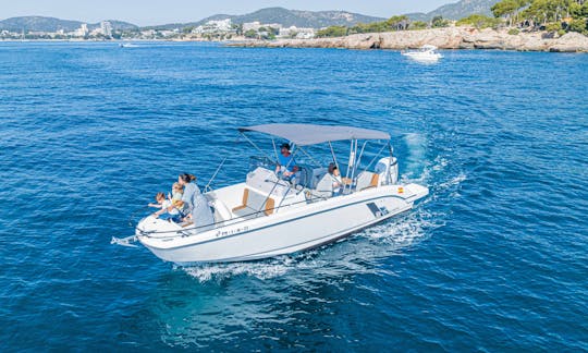 Private Boat Tour around Palma Bay 