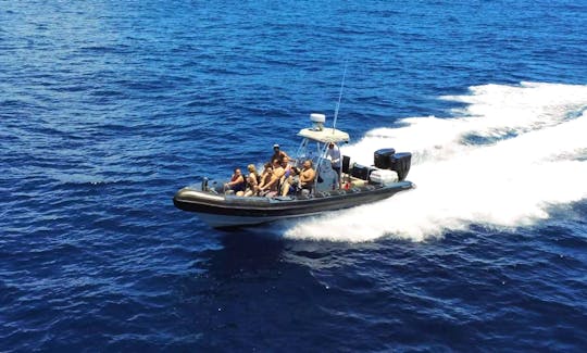 Private Charter and Snorkeling on the fastest boat in Waikiki!
