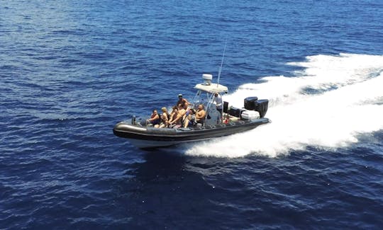 Private Tour and Snorkeling on the fastest boat in Waikiki!