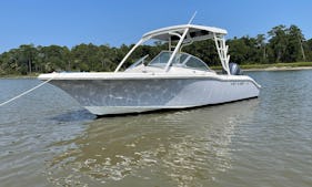 2-Hour Private Sunset/Dolphin Cruise in Hilton Head with  2021 Key West 239 DFS