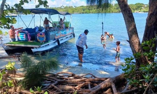 24 Foot Pontoon boat