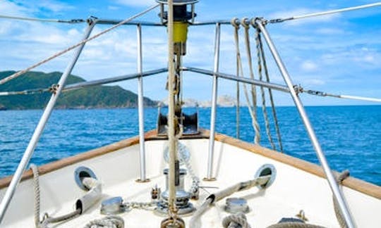 Sailboat to rent for day trip in Santa Marta, Magdalena