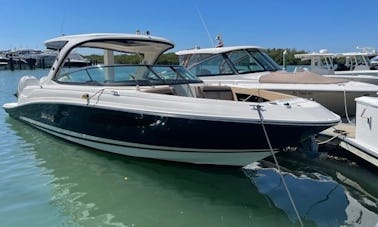 Yacht d'aventure Sea Ray de 35 pieds pour 12 passagers à Clearwater Beach en Floride