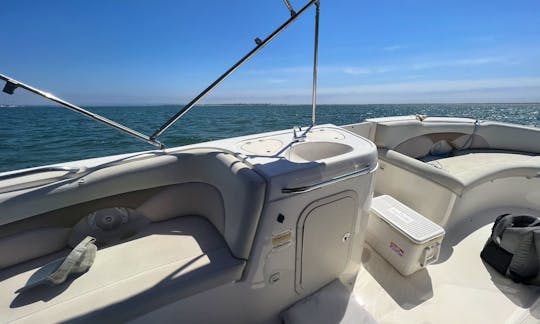 Cruise/ Party W Strong Chaparral 24ft - Nice BT, Float / SD Bay-Coronado