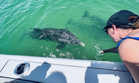 Twin Engine Power Boat  Adventure in Cape Coral & Surrounding Barrier Island