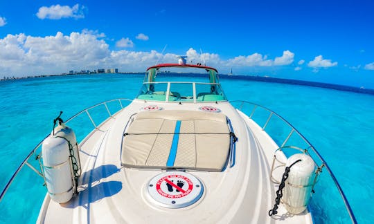 Isla mujeres - Cancún on Maxum 41ft Motor Yacht